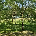 Ruim Aan Bij Nijmegen Gelderland *