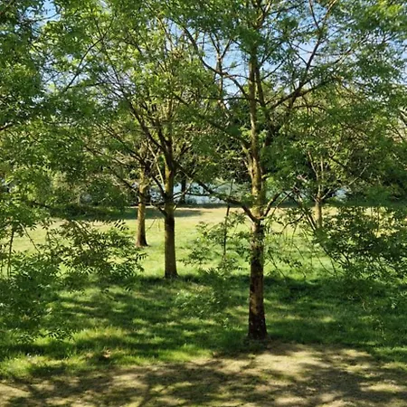 Ruim Aan Bij Nijmegen Gelderland *