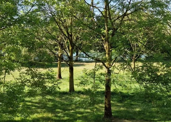 Lakefront Gelderland Bbq & Tuin 6pers *