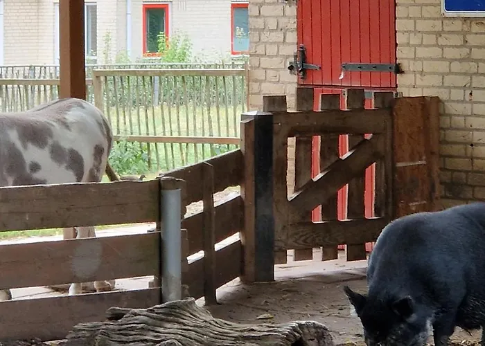 Lakefront Gelderland Bbq & Tuin 6pers * Ewijk