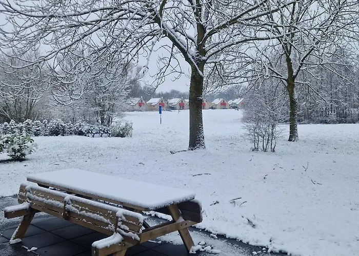 Holiday home Lakefront Gelderland Bbq & Tuin 6pers Ewijk