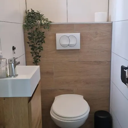 Casa de Férias Lakefront Gelderland Bbq & Tuin 6pers Ewijk