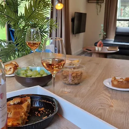 Tatil Evi Lakefront Gelderland Bbq & Tuin 6pers Ewijk