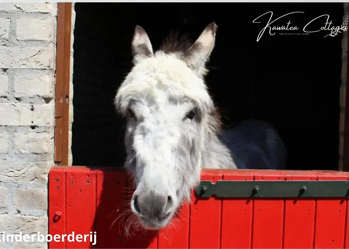 Semesterbostad Lakefront Gelderland Bbq & Tuin 6pers Ewijk